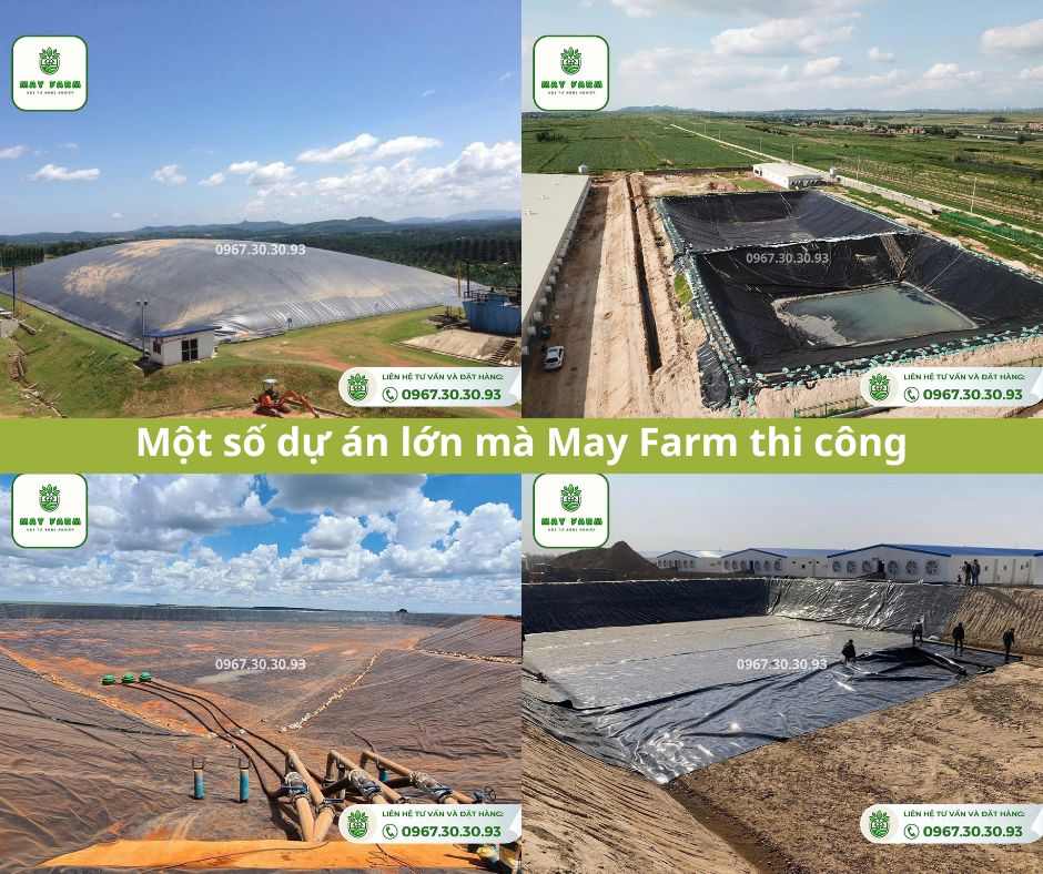 Dự án bạt HDPE Mayfarm thi công